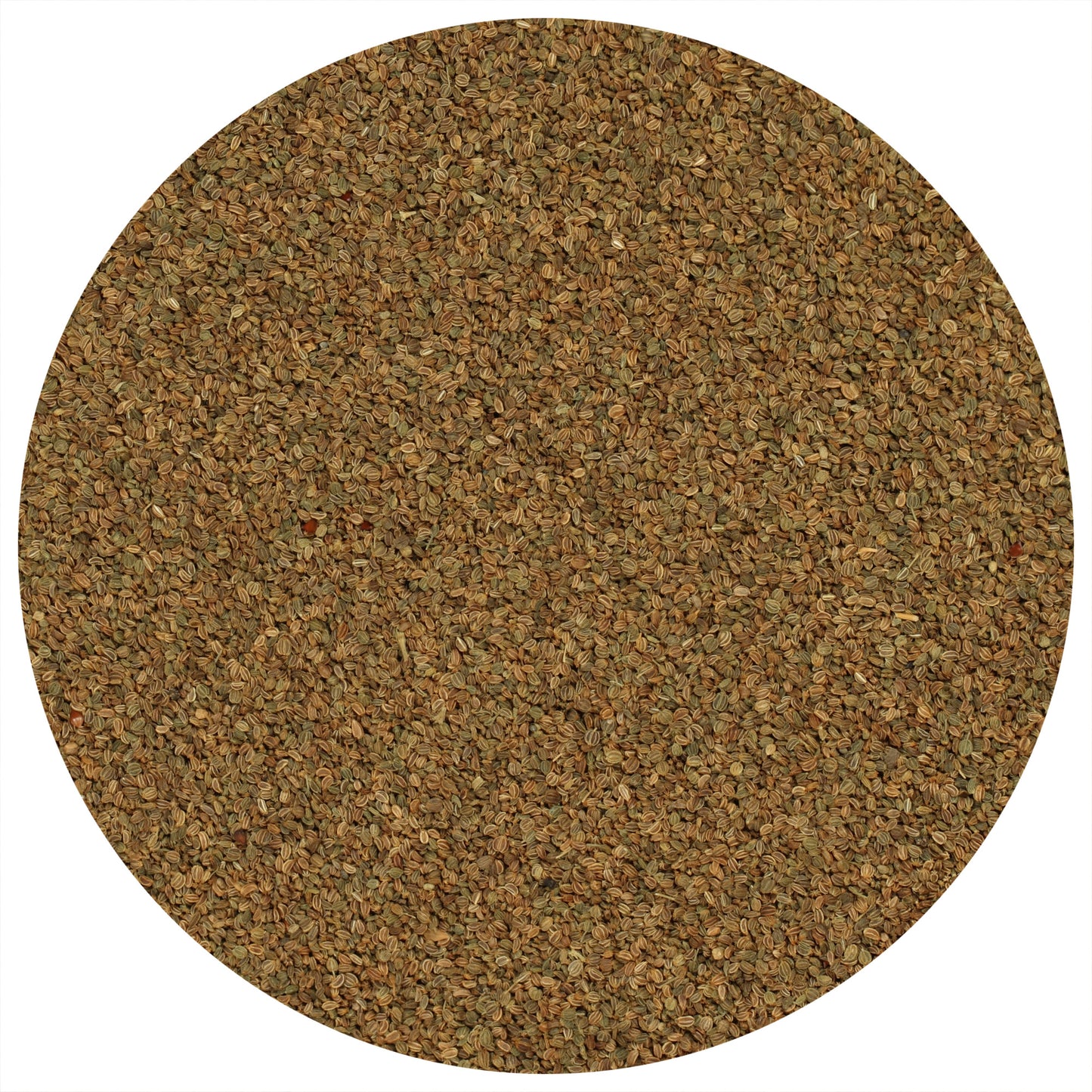 Celery Seeds (Whole)